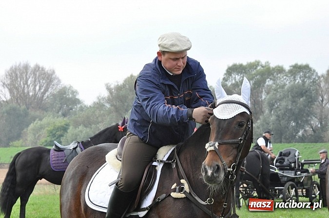 Zdjęcie w galerii na portalu naszraciborz.pl: Raciborski Hubertus 2014. Przy Huzarskiej na Ostrogu spotkali się miłośnicy koni wiadomości z regionu