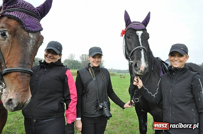 Zdjęcie w galerii na portalu naszraciborz.pl: Raciborski Hubertus 2014. Przy Huzarskiej na Ostrogu spotkali się miłośnicy koni wiadomości z regionu