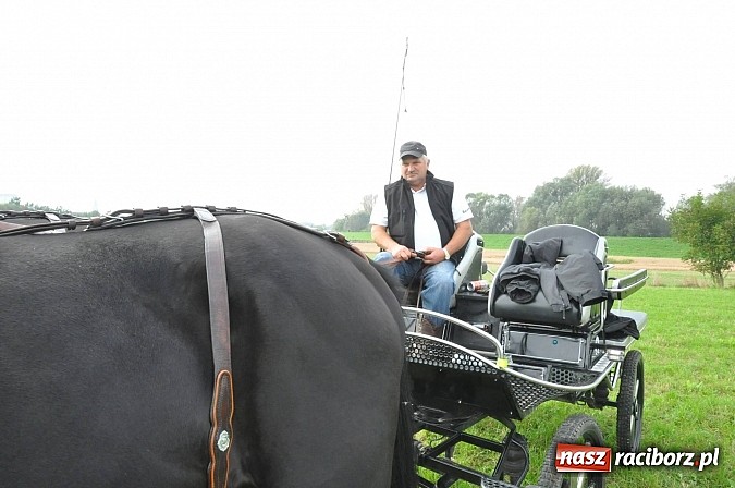 Zdjęcie w galerii na portalu naszraciborz.pl: Raciborski Hubertus 2014. Przy Huzarskiej na Ostrogu spotkali się miłośnicy koni wiadomości z regionu