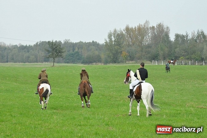 Zdjęcie w galerii na portalu naszraciborz.pl: Raciborski Hubertus 2014. Przy Huzarskiej na Ostrogu spotkali się miłośnicy koni wiadomości z regionu