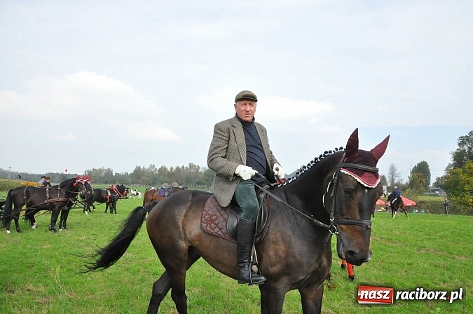 Zdjęcie w galerii na portalu naszraciborz.pl: Raciborski Hubertus 2014. Przy Huzarskiej na Ostrogu spotkali się miłośnicy koni wiadomości z regionu