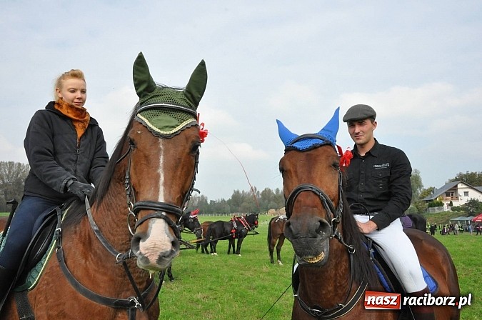 Zdjęcie w galerii na portalu naszraciborz.pl: Raciborski Hubertus 2014. Przy Huzarskiej na Ostrogu spotkali się miłośnicy koni wiadomości z regionu