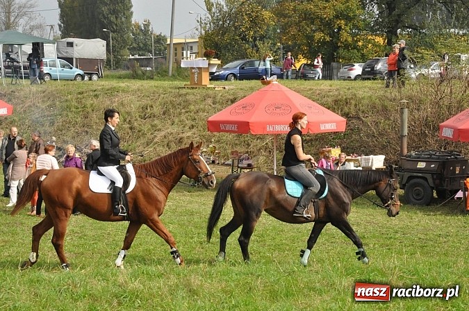 Zdjęcie w galerii na portalu naszraciborz.pl: Raciborski Hubertus 2014. Przy Huzarskiej na Ostrogu spotkali się miłośnicy koni wiadomości z regionu