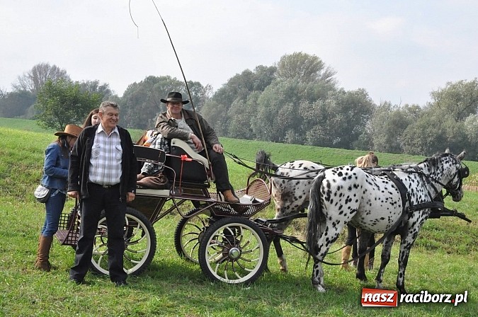 Zdjęcie w galerii na portalu naszraciborz.pl: Raciborski Hubertus 2014. Przy Huzarskiej na Ostrogu spotkali się miłośnicy koni wiadomości z regionu