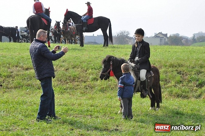 Zdjęcie w galerii na portalu naszraciborz.pl: Raciborski Hubertus 2014. Przy Huzarskiej na Ostrogu spotkali się miłośnicy koni wiadomości z regionu