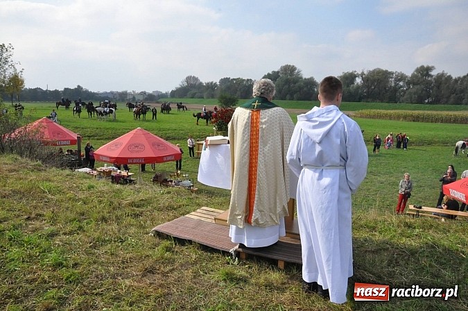Zdjęcie w galerii na portalu naszraciborz.pl: Raciborski Hubertus 2014. Przy Huzarskiej na Ostrogu spotkali się miłośnicy koni wiadomości z regionu