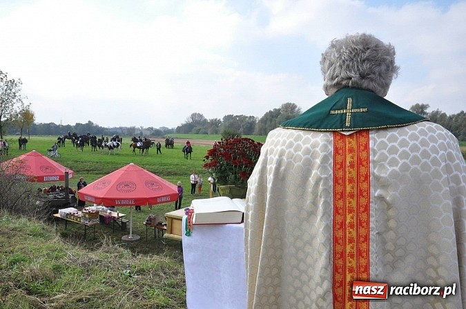 Zdjęcie w galerii na portalu naszraciborz.pl: Raciborski Hubertus 2014. Przy Huzarskiej na Ostrogu spotkali się miłośnicy koni wiadomości z regionu