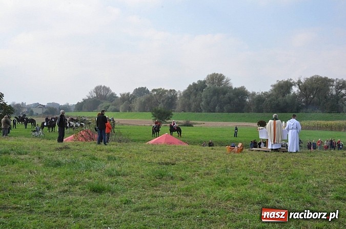 Zdjęcie w galerii na portalu naszraciborz.pl: Raciborski Hubertus 2014. Przy Huzarskiej na Ostrogu spotkali się miłośnicy koni wiadomości z regionu