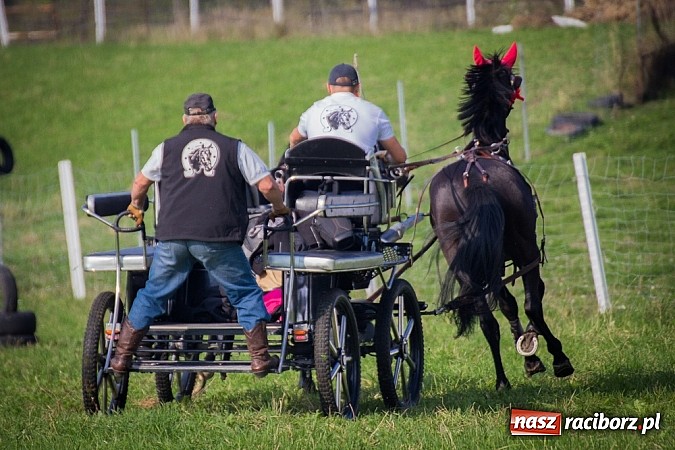 Zdjęcie w galerii na portalu naszraciborz.pl: Raciborski Hubertus 2014. Przy Huzarskiej na Ostrogu spotkali się miłośnicy koni wiadomości z regionu