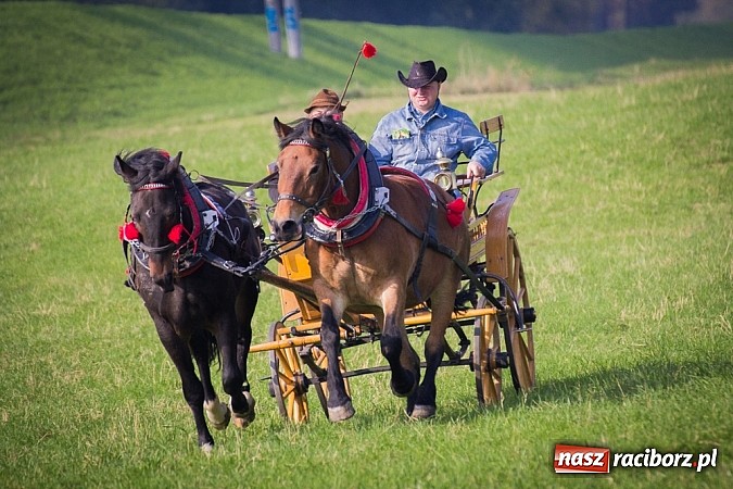Zdjęcie w galerii na portalu naszraciborz.pl: Raciborski Hubertus 2014. Przy Huzarskiej na Ostrogu spotkali się miłośnicy koni wiadomości z regionu
