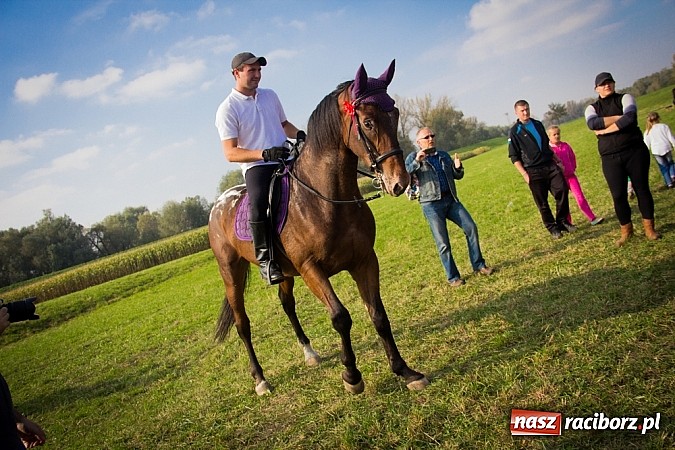 Zdjęcie w galerii na portalu naszraciborz.pl: Raciborski Hubertus 2014. Przy Huzarskiej na Ostrogu spotkali się miłośnicy koni wiadomości z regionu