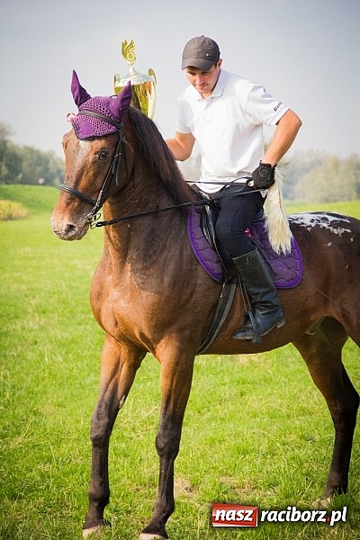 Zdjęcie w galerii na portalu naszraciborz.pl: Raciborski Hubertus 2014. Przy Huzarskiej na Ostrogu spotkali się miłośnicy koni wiadomości z regionu