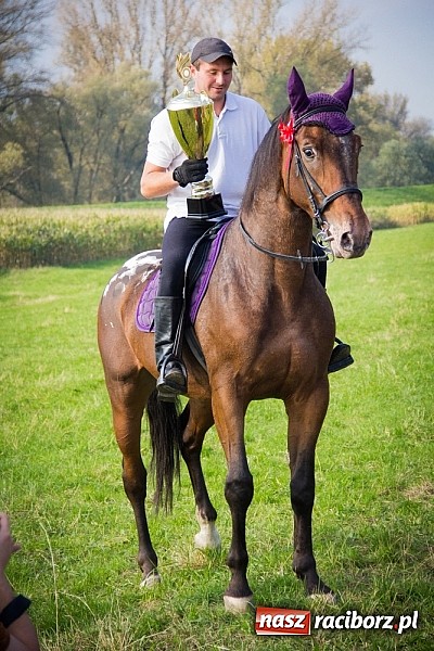 Zdjęcie w galerii na portalu naszraciborz.pl: Raciborski Hubertus 2014. Przy Huzarskiej na Ostrogu spotkali się miłośnicy koni wiadomości z regionu
