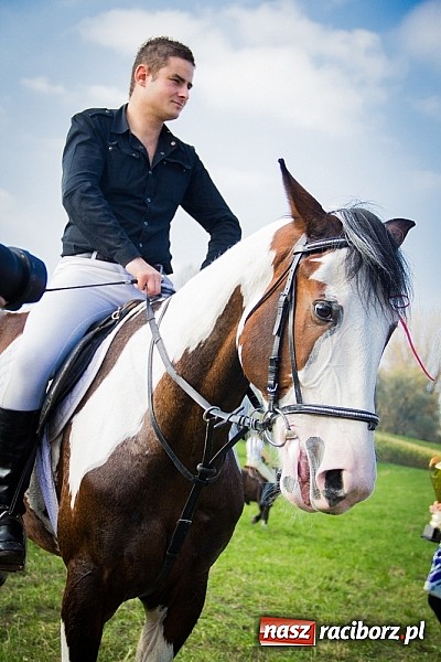 Zdjęcie w galerii na portalu naszraciborz.pl: Raciborski Hubertus 2014. Przy Huzarskiej na Ostrogu spotkali się miłośnicy koni wiadomości z regionu