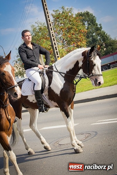 Zdjęcie w galerii na portalu naszraciborz.pl: Raciborski Hubertus 2014. Przy Huzarskiej na Ostrogu spotkali się miłośnicy koni wiadomości z regionu