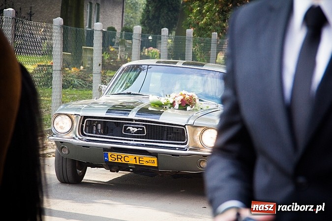 Zdjęcie w galerii na portalu naszraciborz.pl: Raciborski Hubertus 2014. Przy Huzarskiej na Ostrogu spotkali się miłośnicy koni wiadomości z regionu