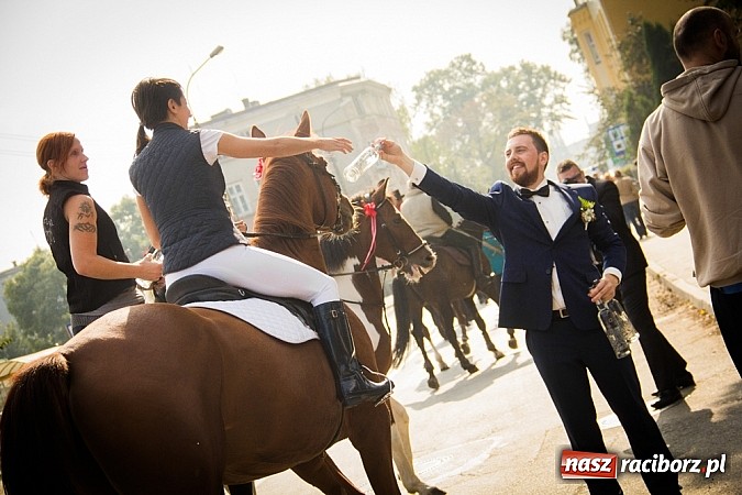 Zdjęcie w galerii na portalu naszraciborz.pl: Raciborski Hubertus 2014. Przy Huzarskiej na Ostrogu spotkali się miłośnicy koni wiadomości z regionu