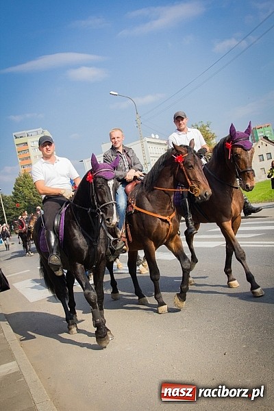 Zdjęcie w galerii na portalu naszraciborz.pl: Raciborski Hubertus 2014. Przy Huzarskiej na Ostrogu spotkali się miłośnicy koni wiadomości z regionu