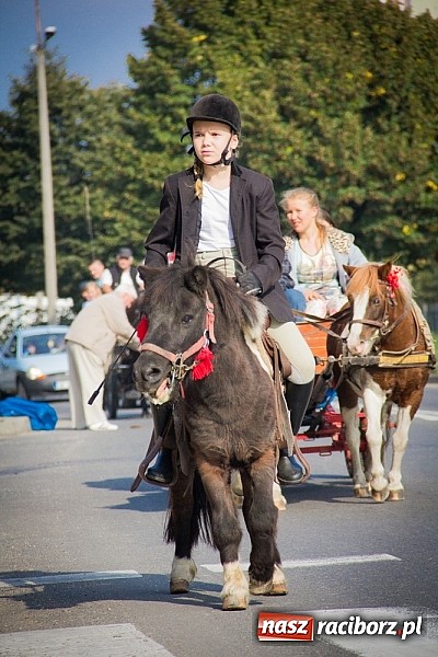 Zdjęcie w galerii na portalu naszraciborz.pl: Raciborski Hubertus 2014. Przy Huzarskiej na Ostrogu spotkali się miłośnicy koni wiadomości z regionu