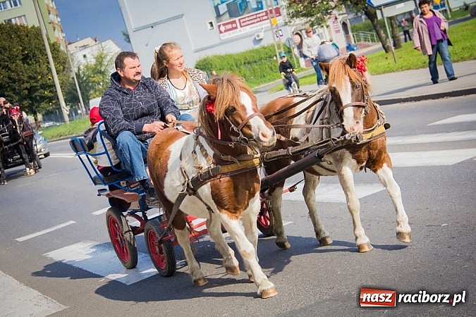 Zdjęcie w galerii na portalu naszraciborz.pl: Raciborski Hubertus 2014. Przy Huzarskiej na Ostrogu spotkali się miłośnicy koni wiadomości z regionu
