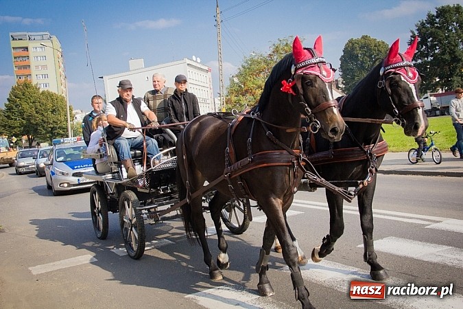 Zdjęcie w galerii na portalu naszraciborz.pl: Raciborski Hubertus 2014. Przy Huzarskiej na Ostrogu spotkali się miłośnicy koni wiadomości z regionu