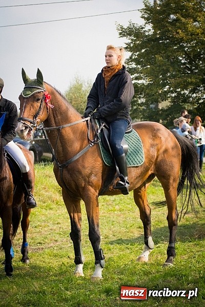 Zdjęcie w galerii na portalu naszraciborz.pl: Raciborski Hubertus 2014. Przy Huzarskiej na Ostrogu spotkali się miłośnicy koni wiadomości z regionu