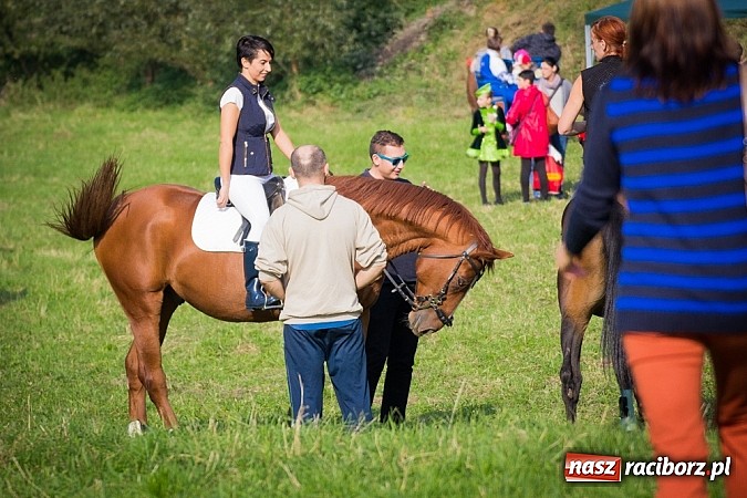 Zdjęcie w galerii na portalu naszraciborz.pl: Raciborski Hubertus 2014. Przy Huzarskiej na Ostrogu spotkali się miłośnicy koni wiadomości z regionu