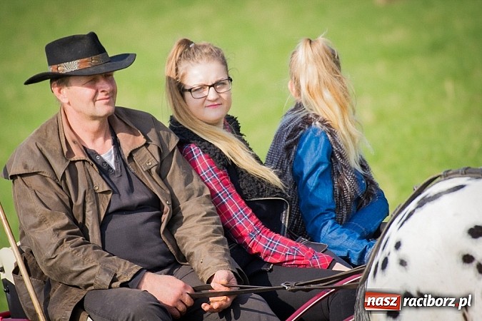 Zdjęcie w galerii na portalu naszraciborz.pl: Raciborski Hubertus 2014. Przy Huzarskiej na Ostrogu spotkali się miłośnicy koni wiadomości z regionu