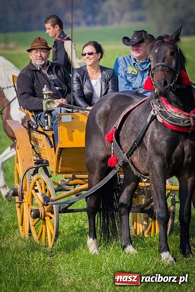 Zdjęcie w galerii na portalu naszraciborz.pl: Raciborski Hubertus 2014. Przy Huzarskiej na Ostrogu spotkali się miłośnicy koni wiadomości z regionu