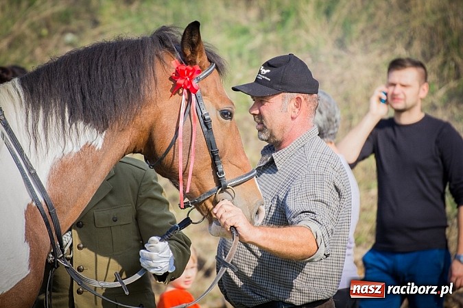 Zdjęcie w galerii na portalu naszraciborz.pl: Raciborski Hubertus 2014. Przy Huzarskiej na Ostrogu spotkali się miłośnicy koni wiadomości z regionu