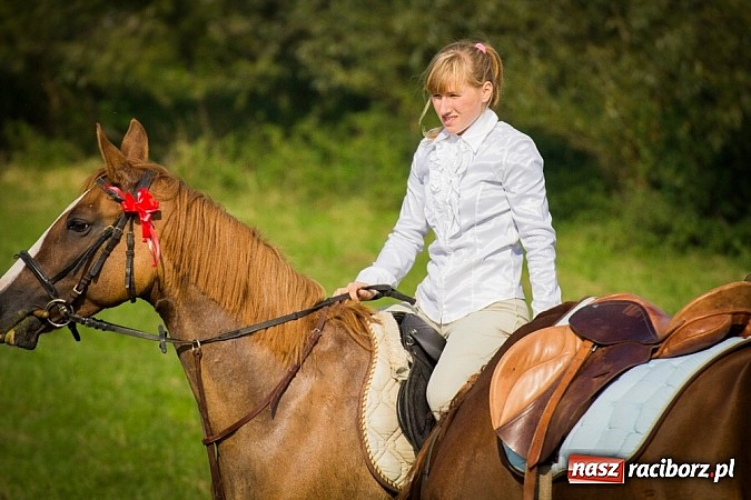 Zdjęcie w galerii na portalu naszraciborz.pl: Raciborski Hubertus 2014. Przy Huzarskiej na Ostrogu spotkali się miłośnicy koni wiadomości z regionu