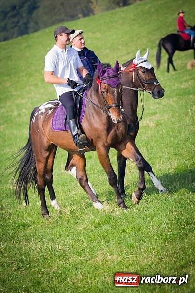 Zdjęcie w galerii na portalu naszraciborz.pl: Raciborski Hubertus 2014. Przy Huzarskiej na Ostrogu spotkali się miłośnicy koni wiadomości z regionu