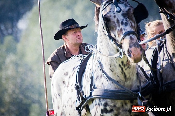 Zdjęcie w galerii na portalu naszraciborz.pl: Raciborski Hubertus 2014. Przy Huzarskiej na Ostrogu spotkali się miłośnicy koni wiadomości z regionu