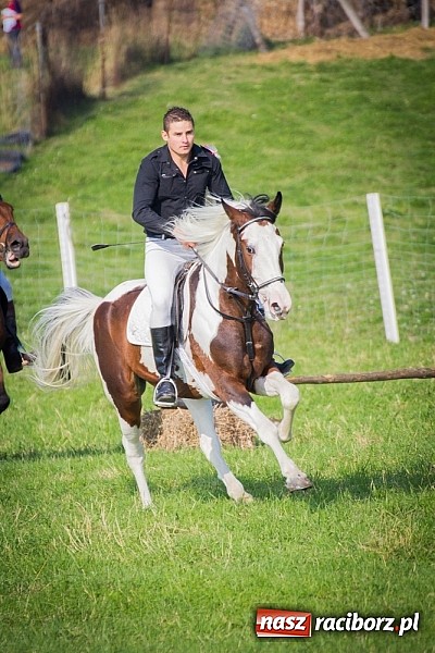Zdjęcie w galerii na portalu naszraciborz.pl: Raciborski Hubertus 2014. Przy Huzarskiej na Ostrogu spotkali się miłośnicy koni wiadomości z regionu
