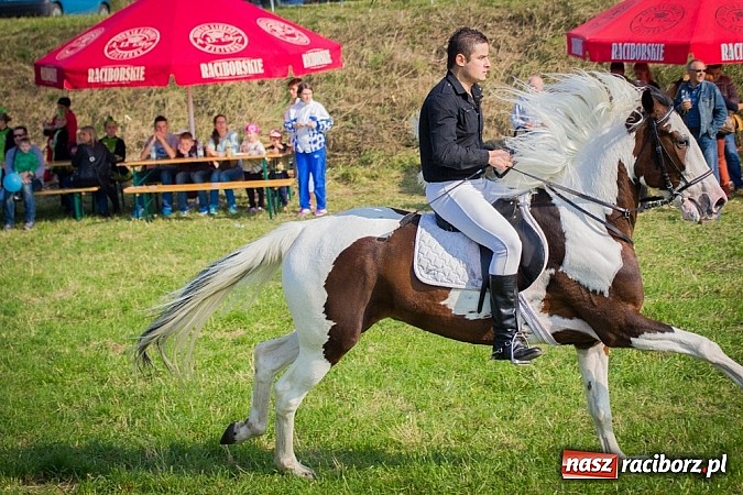 Zdjęcie w galerii na portalu naszraciborz.pl: Raciborski Hubertus 2014. Przy Huzarskiej na Ostrogu spotkali się miłośnicy koni wiadomości z regionu