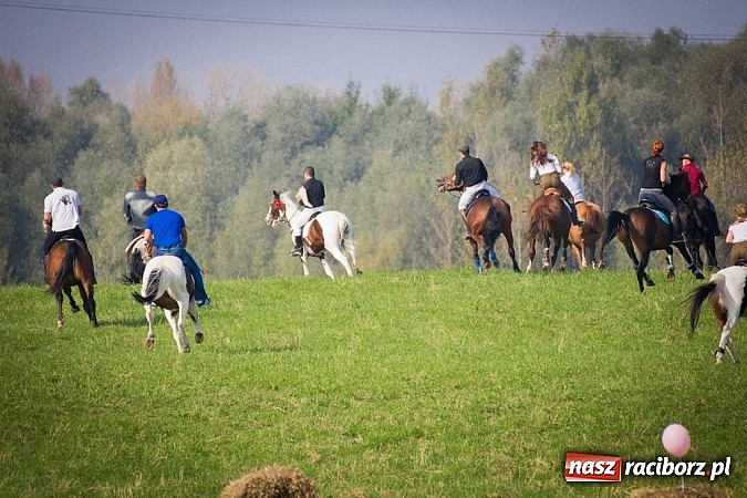 Zdjęcie w galerii na portalu naszraciborz.pl: Raciborski Hubertus 2014. Przy Huzarskiej na Ostrogu spotkali się miłośnicy koni wiadomości z regionu