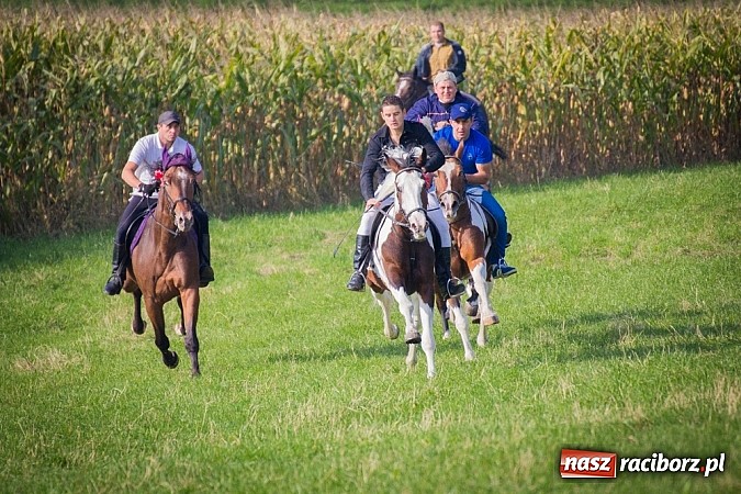Zdjęcie w galerii na portalu naszraciborz.pl: Raciborski Hubertus 2014. Przy Huzarskiej na Ostrogu spotkali się miłośnicy koni wiadomości z regionu