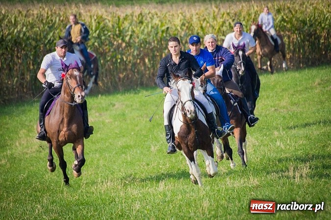 Zdjęcie w galerii na portalu naszraciborz.pl: Raciborski Hubertus 2014. Przy Huzarskiej na Ostrogu spotkali się miłośnicy koni wiadomości z regionu