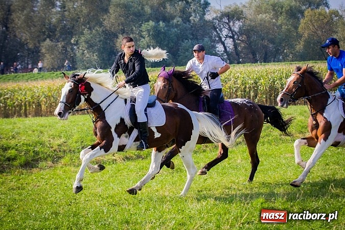 Zdjęcie w galerii na portalu naszraciborz.pl: Raciborski Hubertus 2014. Przy Huzarskiej na Ostrogu spotkali się miłośnicy koni wiadomości z regionu