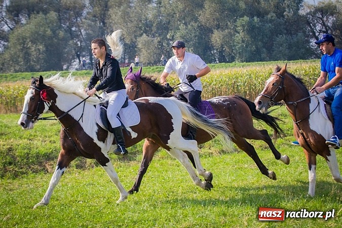 Zdjęcie w galerii na portalu naszraciborz.pl: Raciborski Hubertus 2014. Przy Huzarskiej na Ostrogu spotkali się miłośnicy koni wiadomości z regionu