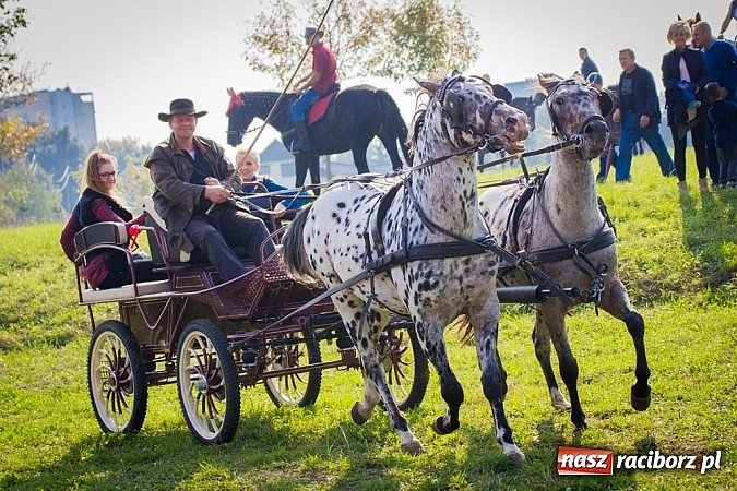Zdjęcie w galerii na portalu naszraciborz.pl: Raciborski Hubertus 2014. Przy Huzarskiej na Ostrogu spotkali się miłośnicy koni wiadomości z regionu