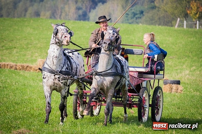 Zdjęcie w galerii na portalu naszraciborz.pl: Raciborski Hubertus 2014. Przy Huzarskiej na Ostrogu spotkali się miłośnicy koni wiadomości z regionu