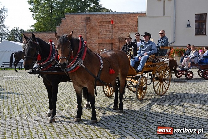Zdjęcie w galerii na portalu naszraciborz.pl: Raciborski Hubertus 2014. Przy Huzarskiej na Ostrogu spotkali się miłośnicy koni wiadomości z regionu