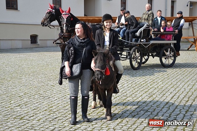 Zdjęcie w galerii na portalu naszraciborz.pl: Raciborski Hubertus 2014. Przy Huzarskiej na Ostrogu spotkali się miłośnicy koni wiadomości z regionu