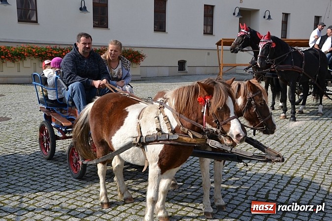 Zdjęcie w galerii na portalu naszraciborz.pl: Raciborski Hubertus 2014. Przy Huzarskiej na Ostrogu spotkali się miłośnicy koni wiadomości z regionu