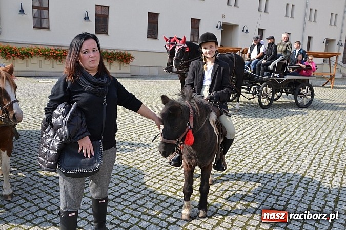 Zdjęcie w galerii na portalu naszraciborz.pl: Raciborski Hubertus 2014. Przy Huzarskiej na Ostrogu spotkali się miłośnicy koni wiadomości z regionu