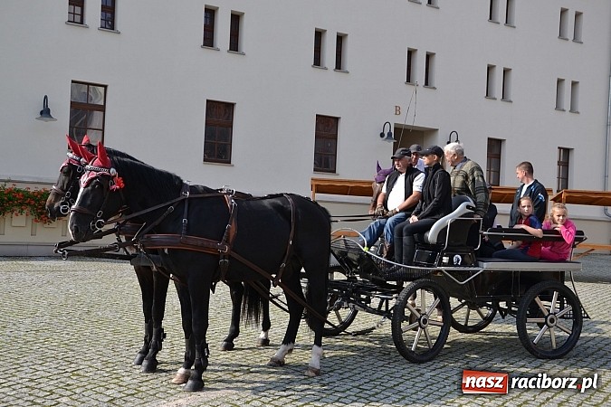 Zdjęcie w galerii na portalu naszraciborz.pl: Raciborski Hubertus 2014. Przy Huzarskiej na Ostrogu spotkali się miłośnicy koni wiadomości z regionu