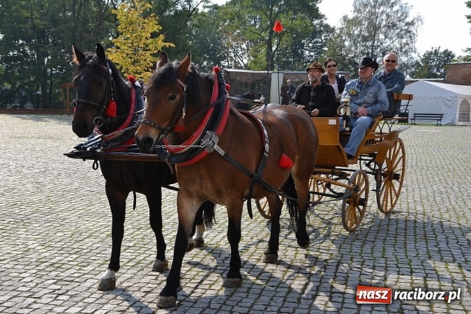 Zdjęcie w galerii na portalu naszraciborz.pl: Raciborski Hubertus 2014. Przy Huzarskiej na Ostrogu spotkali się miłośnicy koni wiadomości z regionu