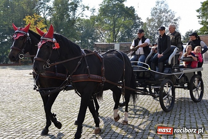 Zdjęcie w galerii na portalu naszraciborz.pl: Raciborski Hubertus 2014. Przy Huzarskiej na Ostrogu spotkali się miłośnicy koni wiadomości z regionu