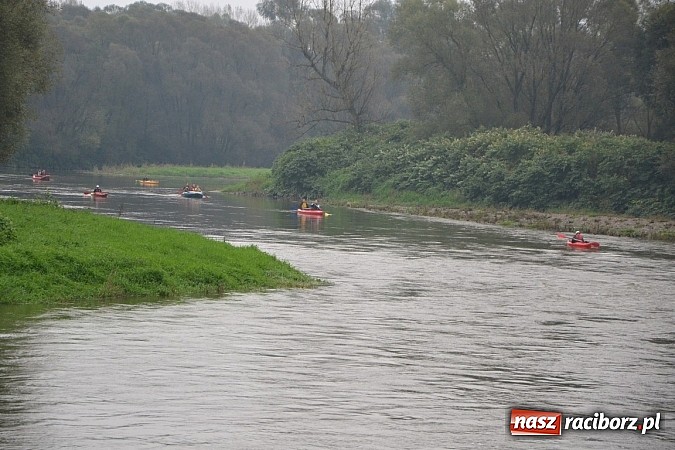 Zdjęcie w galerii na portalu naszraciborz.pl: Meandry Odry oficjalnie zamknięte. Do wiosny wiadomości z regionu